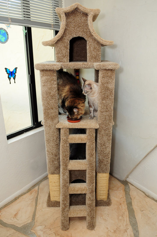 New Cat Condos 67" Premier Designer Cat Tree & Reviews Wayfair